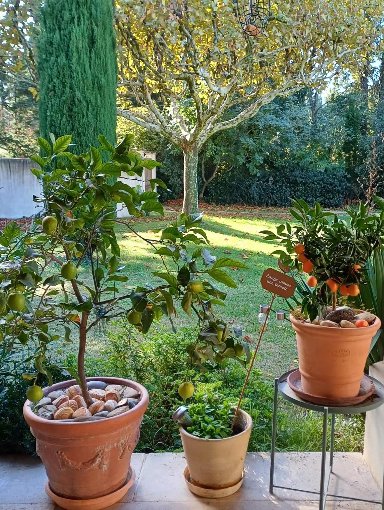 Bed and Breakfast La Goutadou Cabannes Экстерьер фото